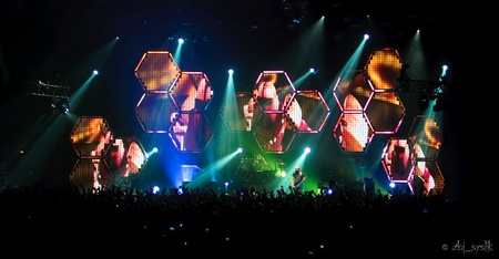 Muse в Києві - Ольга Іващенко