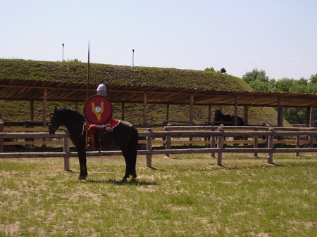 Київська Русь і степ